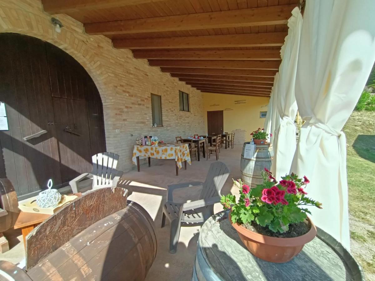 Il Podere Del Nonno Bed and Breakfast Ripatransone Exteriör bild