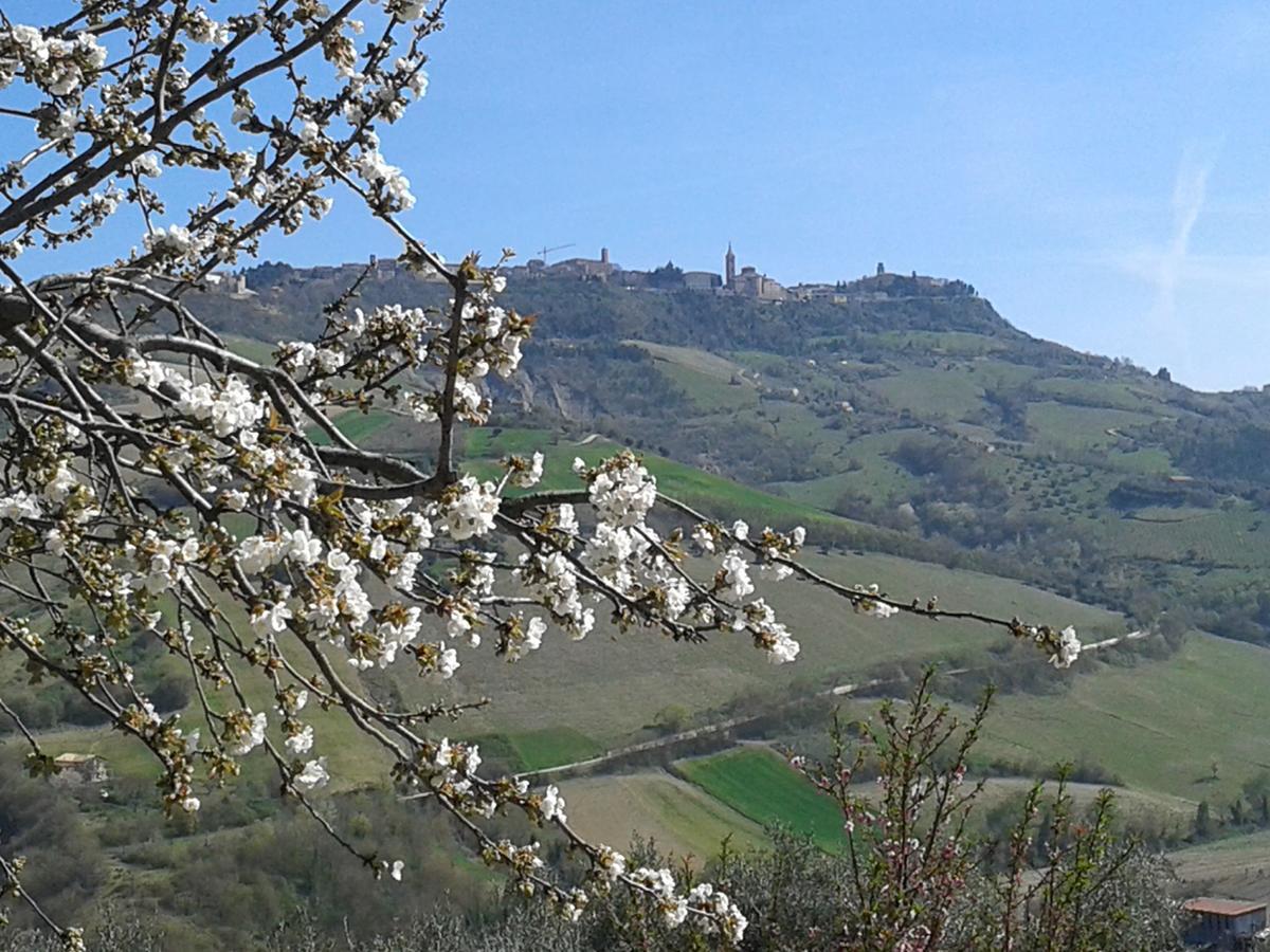 Il Podere Del Nonno Bed and Breakfast Ripatransone Exteriör bild